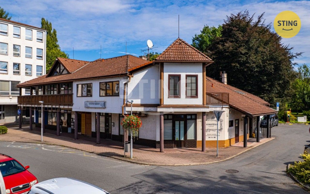Prodej obchodní prostory - Smetanova, Český Těšín, 1 400 m² - 5