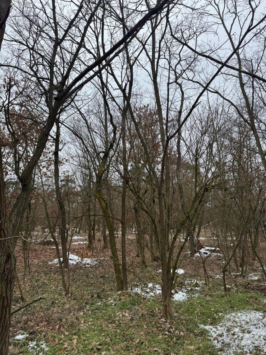 Prodej pozemek pro bydlení - Roudnice nad Labem, 413 01