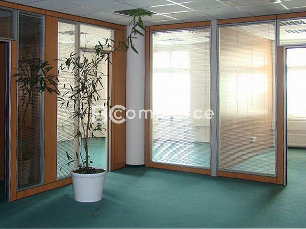 Pronájem kancelář - Brno-město, Brno, 227 m²