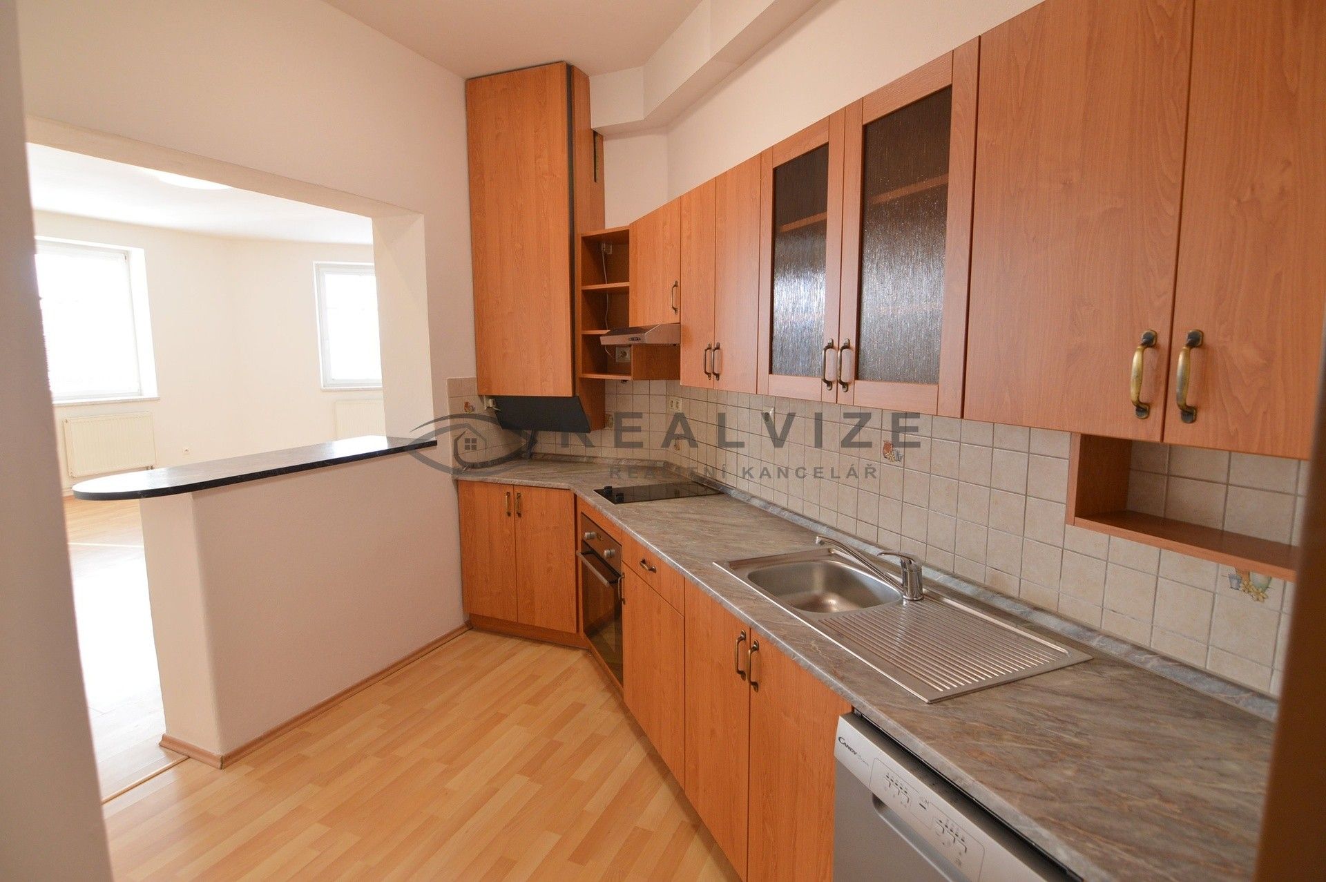 Pronájem byt 1+kk - K. V. Raise, České Budějovice, 52 m²