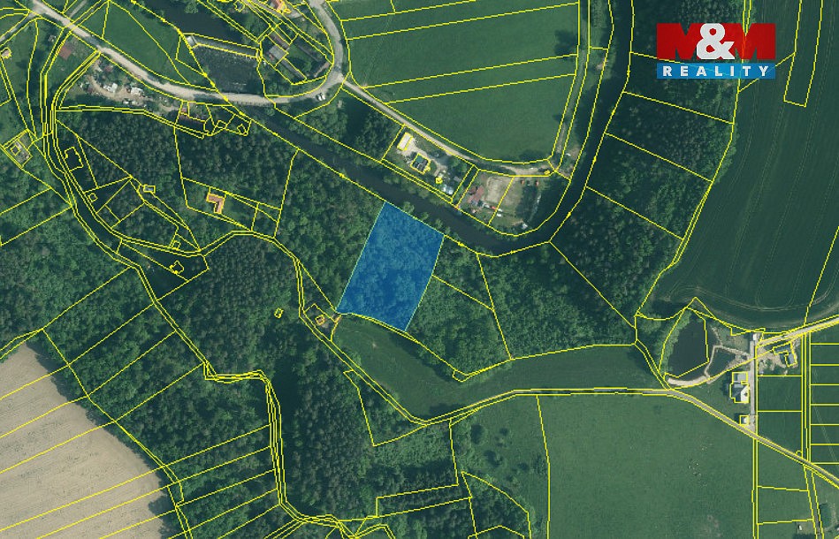 Les · Římov - Branišovice, okres České Budějovice - 4