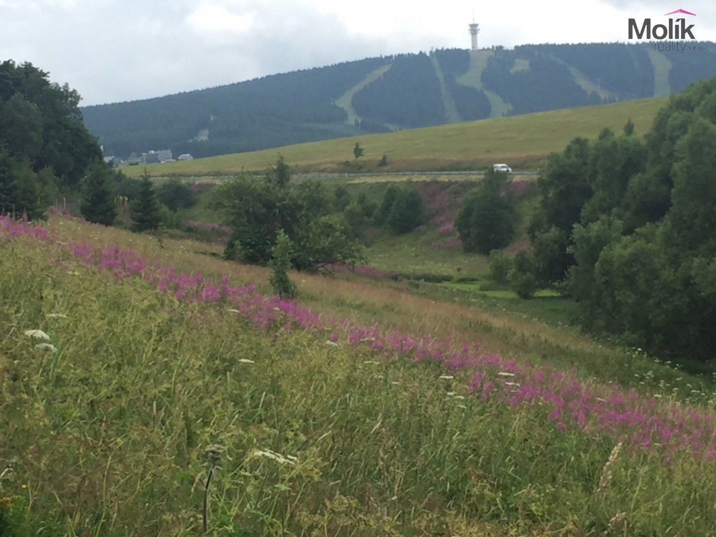 Komerční pozemek · 6 354 m² · Háj, Loučná pod Klínovcem - 4
