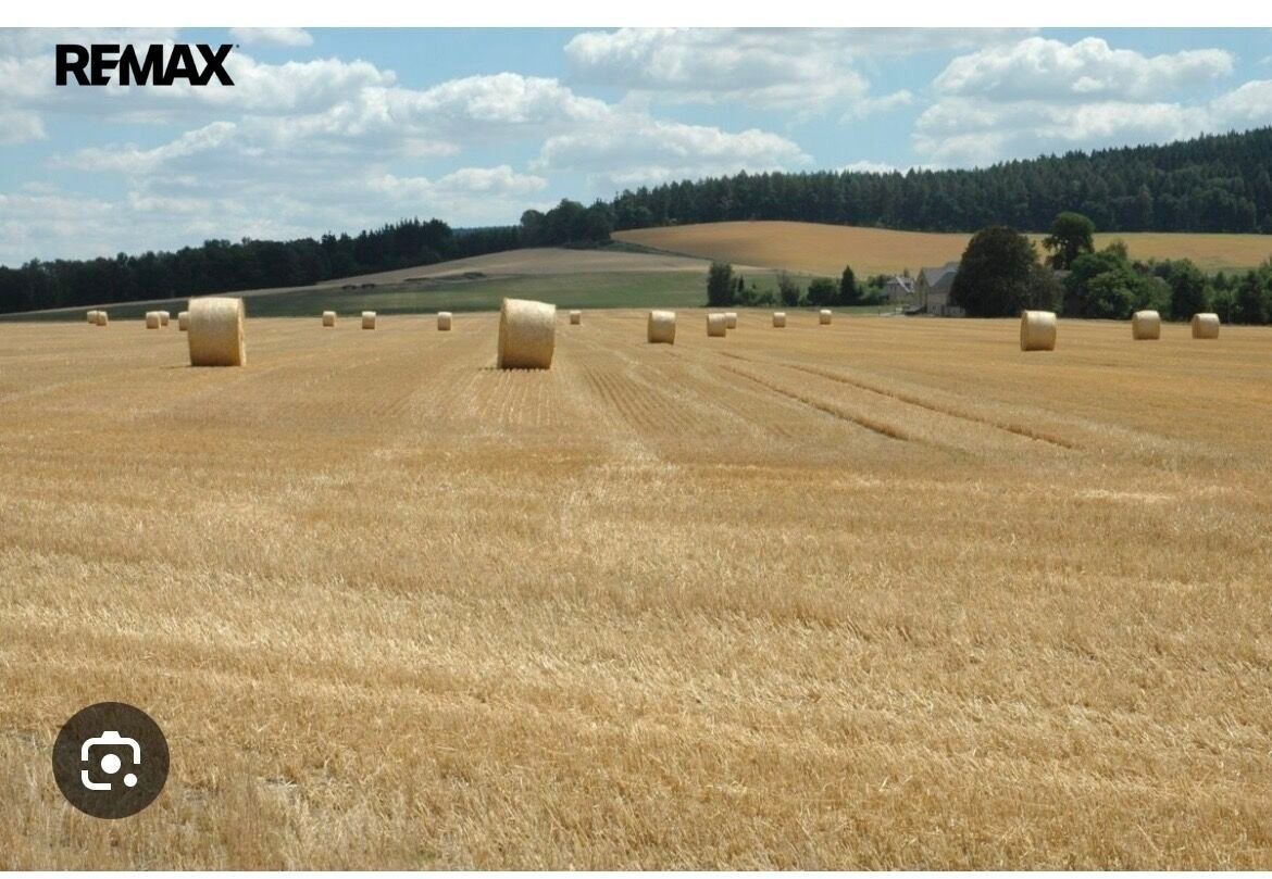 Zemědělský pozemek · 31 550 m² · Nové Syrovice - 3