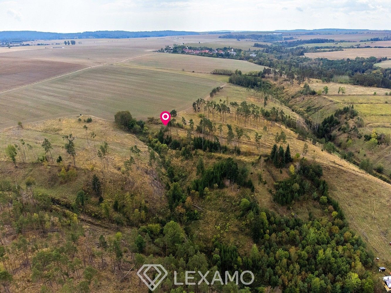 Prodej les - Vladislav - Střížov, okres Třebíč, Kraj Vysočina - 2