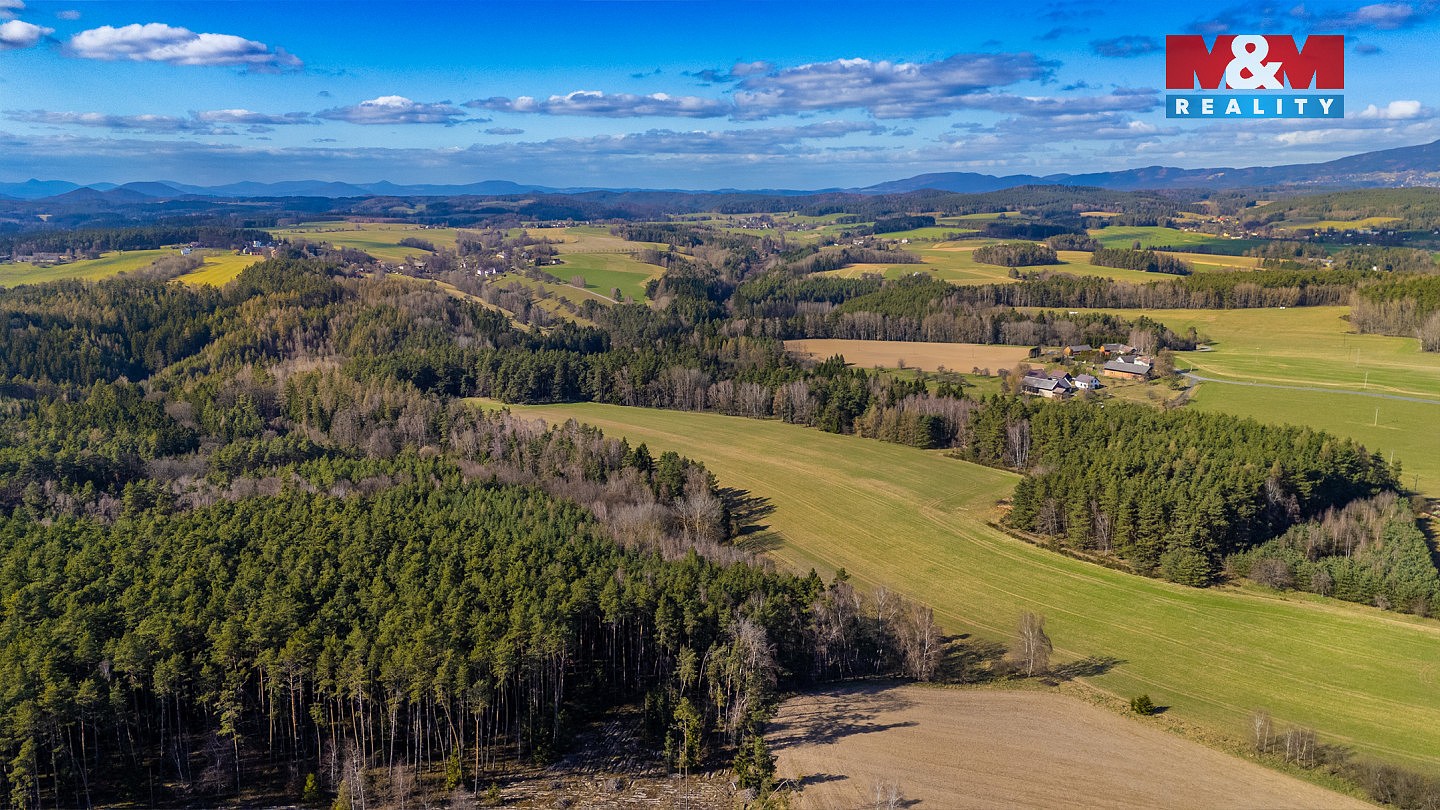 Prodej les - Všelibice - Přibyslavice, okres Liberec - 5