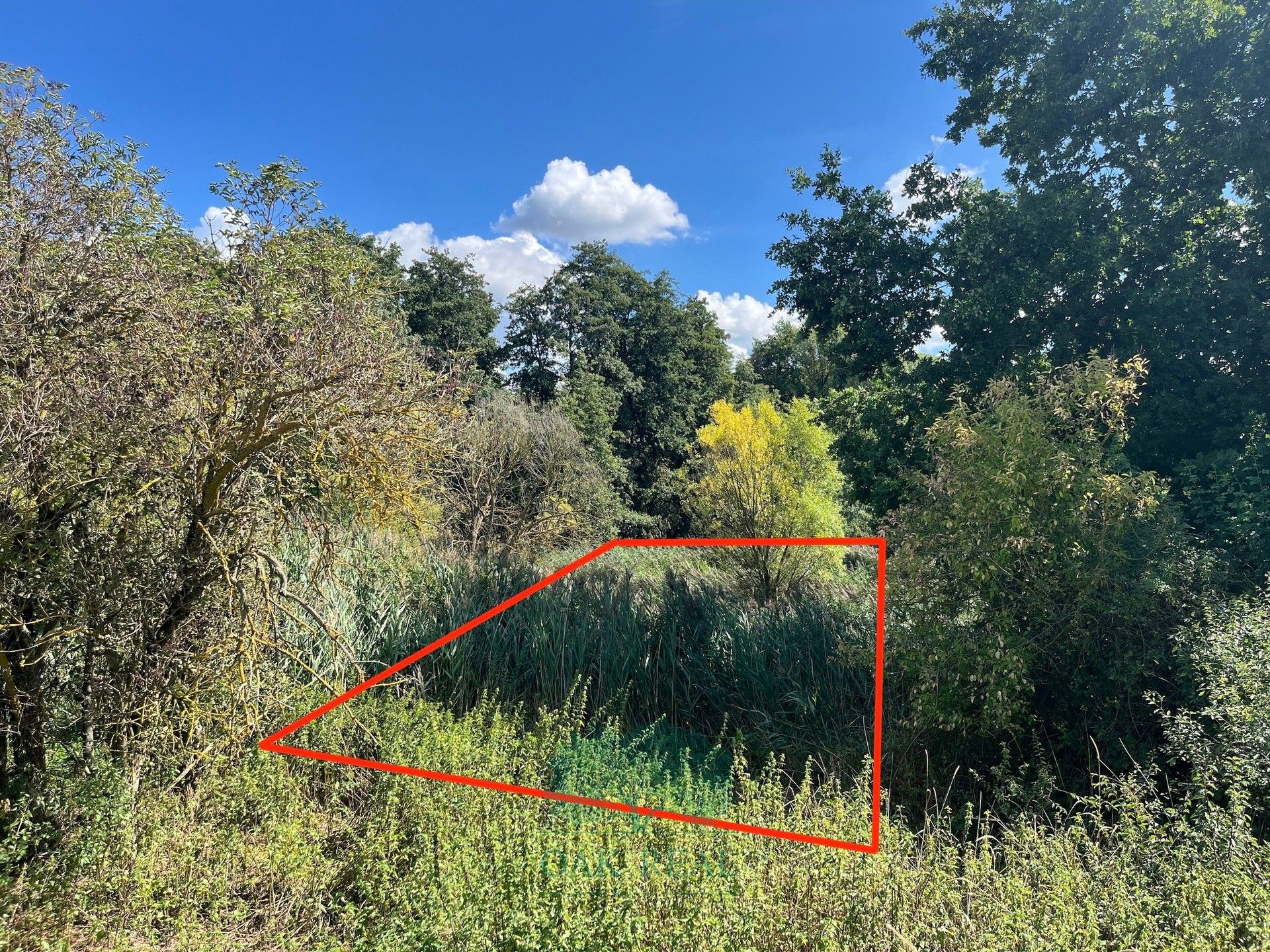 Prodej louka - Královice, Praha