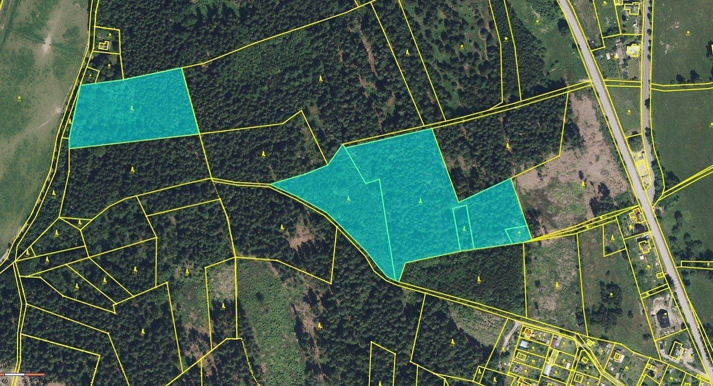 Prodej les - Malá Skála - Mukařov, okres Jablonec nad Nisou, Liberecký kraj - 2
