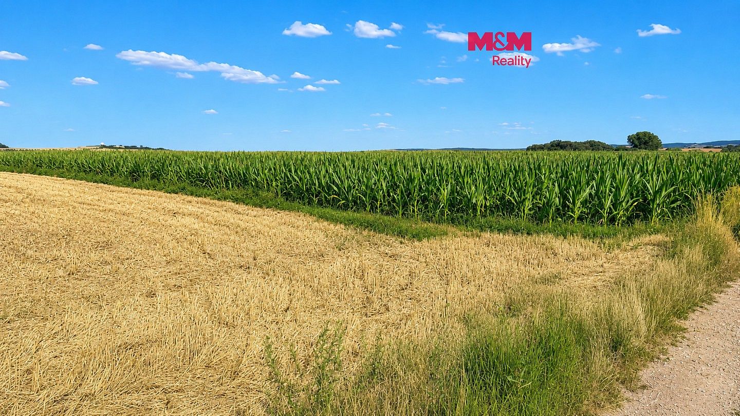 Zemědělský pozemek, 44 465 m²