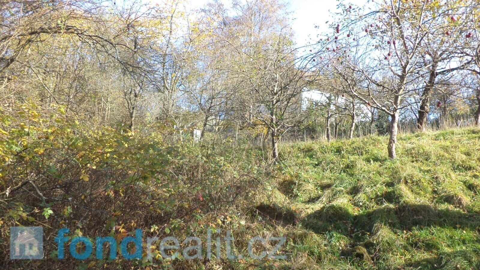 Pozemek pro bydlení · 813 m² · Nové Hrady - 4