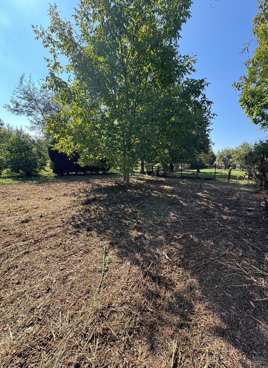 Pozemky pro bydlení, Přerov, 751 24