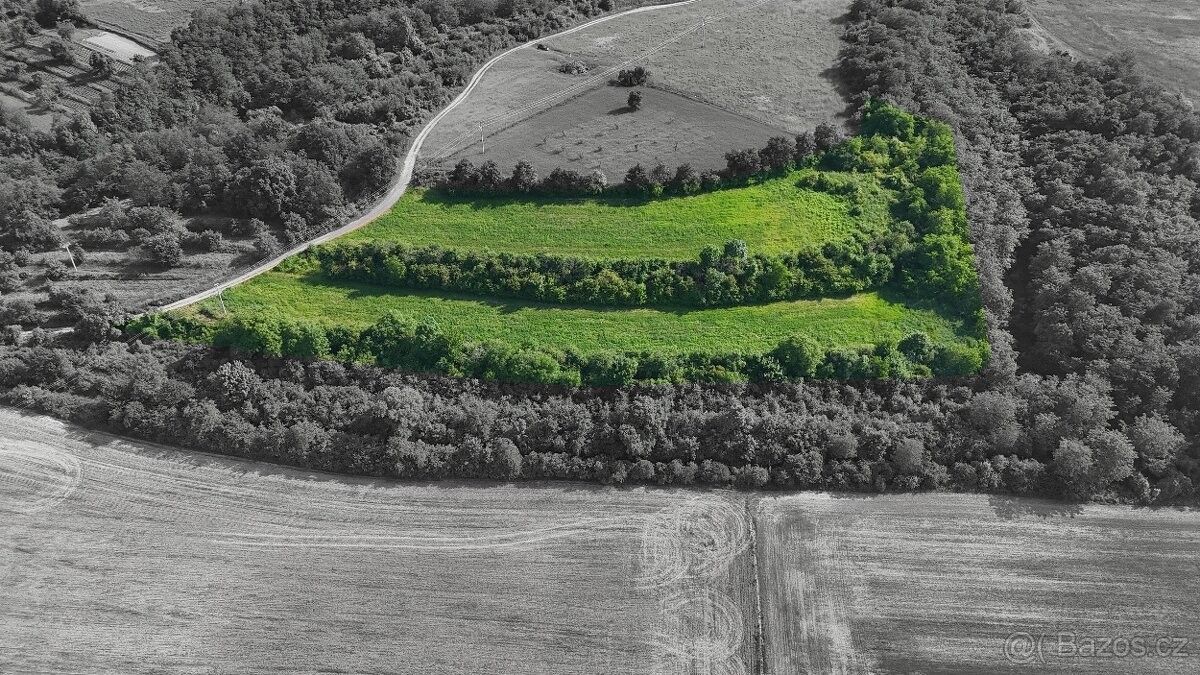 Prodej pozemek pro bydlení - Bechlín, 411 86