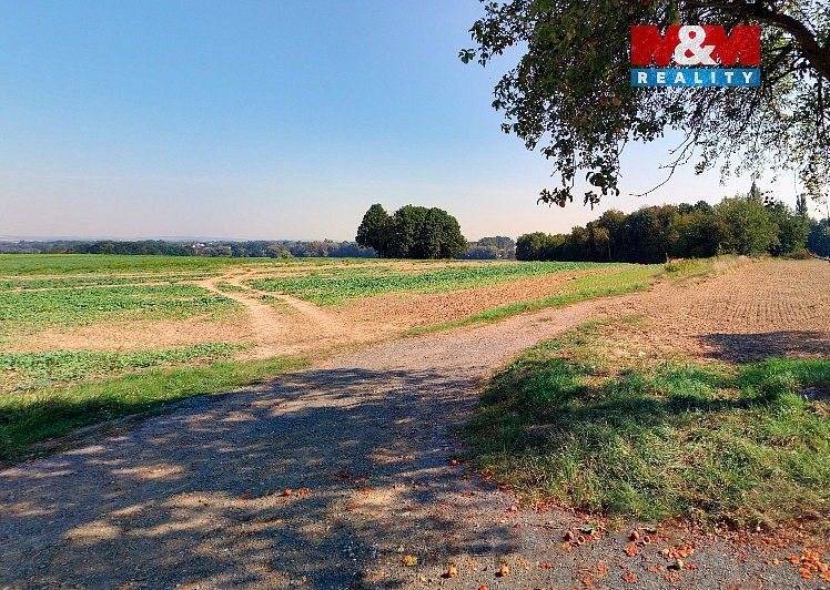 Zemědělské pozemky, Bartošovice, okres Nový Jičín, Moravskoslezský kraj - 2