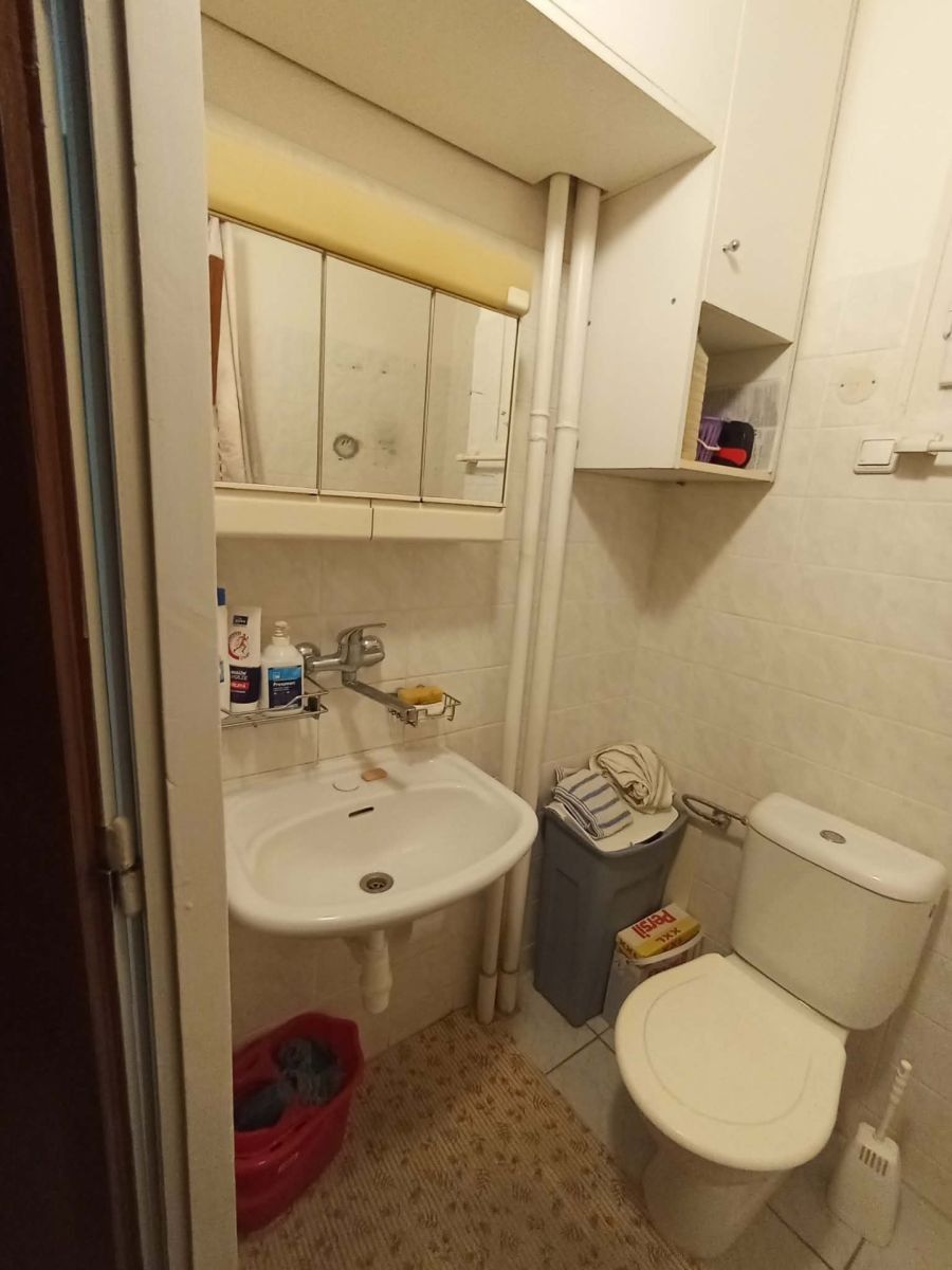 1+kk, Botanická, Brno - Veveří, Jihomoravský kraj, 25 m² - 2