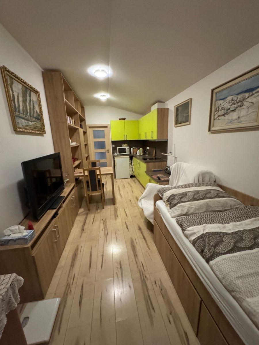 1+kk, U Hájku, Praha - Vinoř, 22 m² - 2