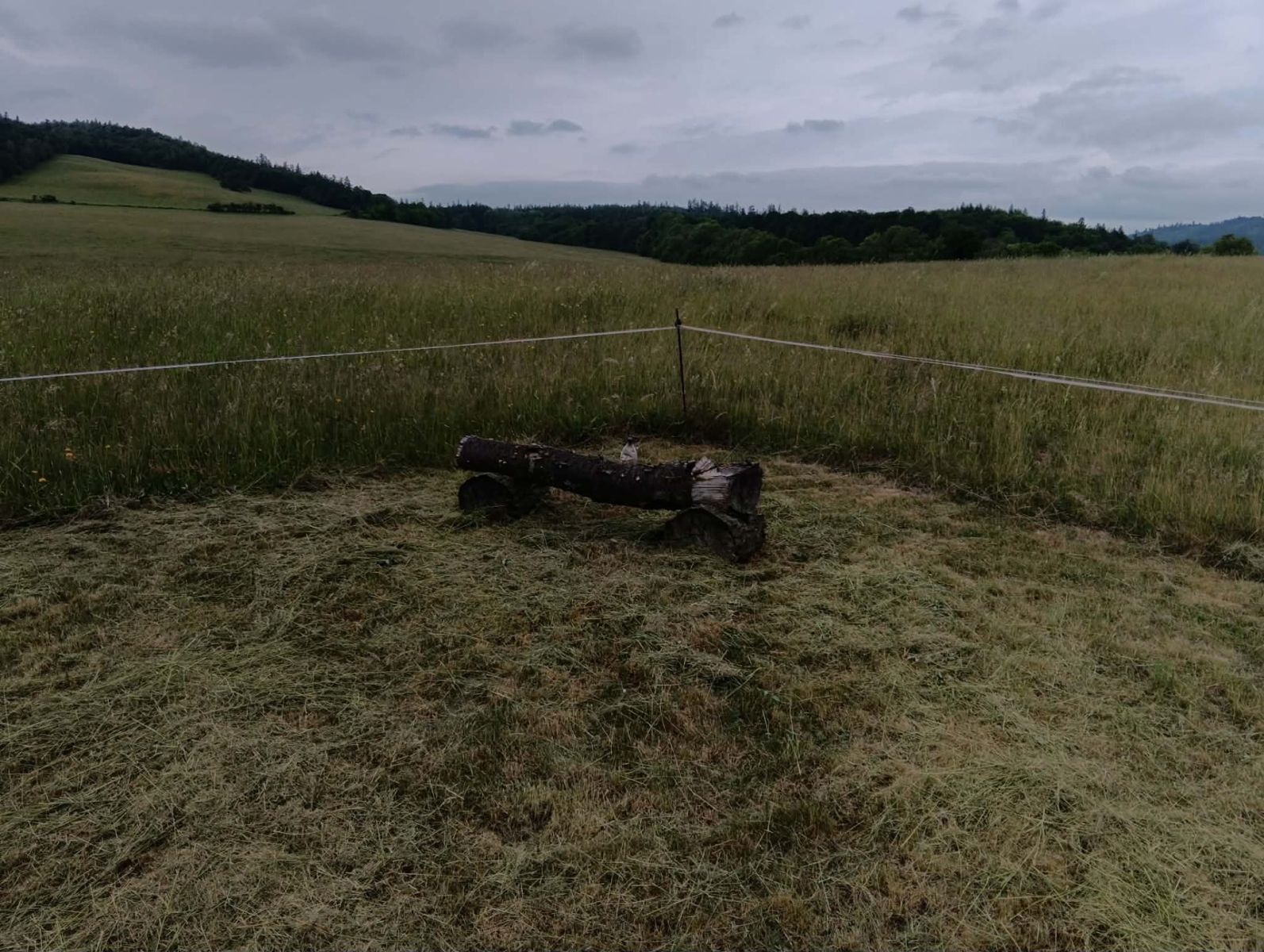 Pozemek pro bydlení · Brantice - Radim u Brantic, Moravskoslezský kraj - 3