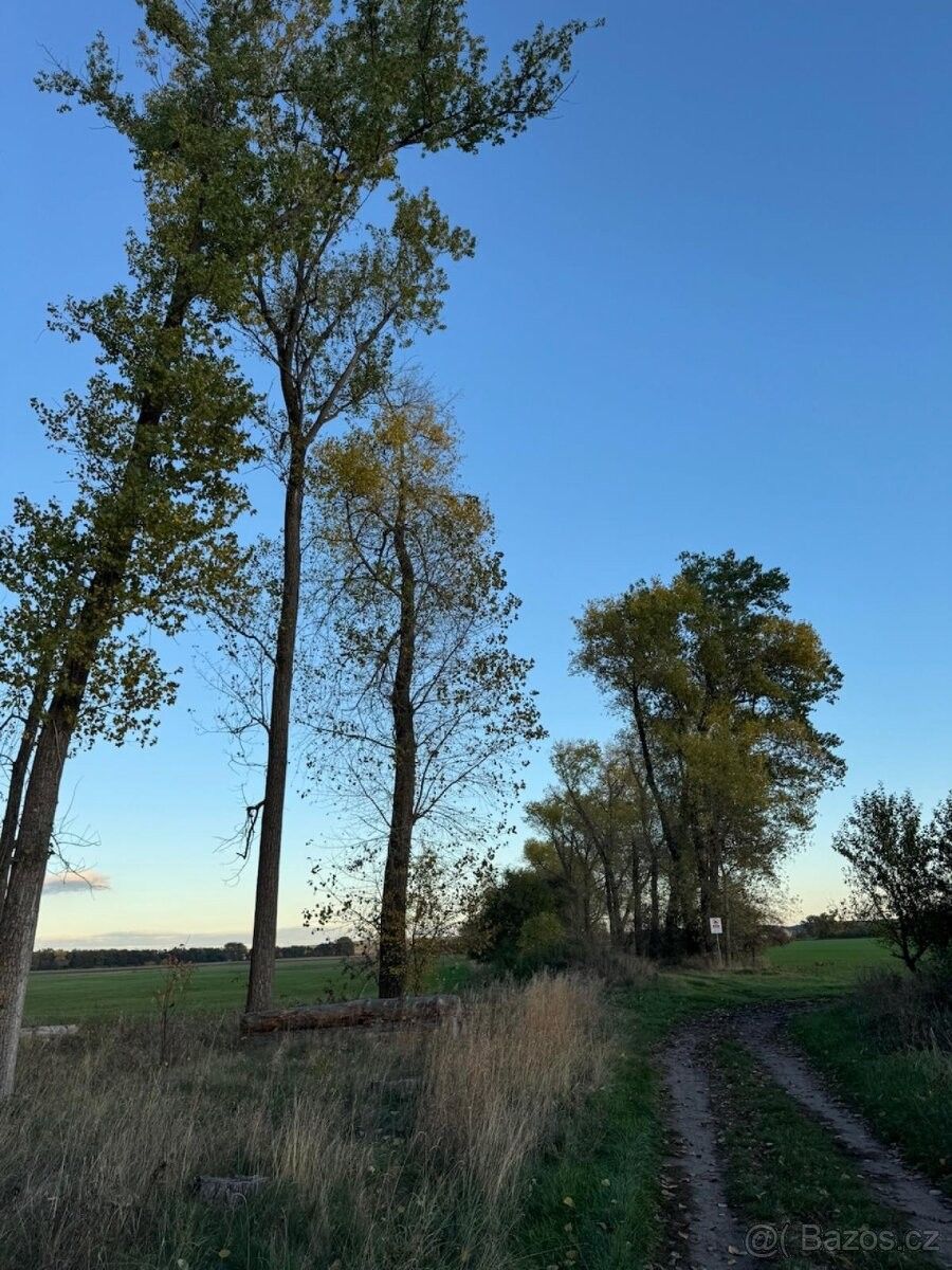 Prodej pozemek pro bydlení - Sány, 289 06