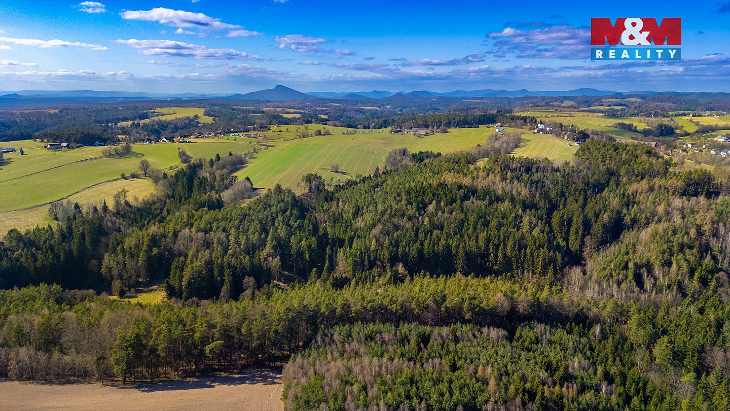 Les · Všelibice - Přibyslavice, okres Liberec - 3