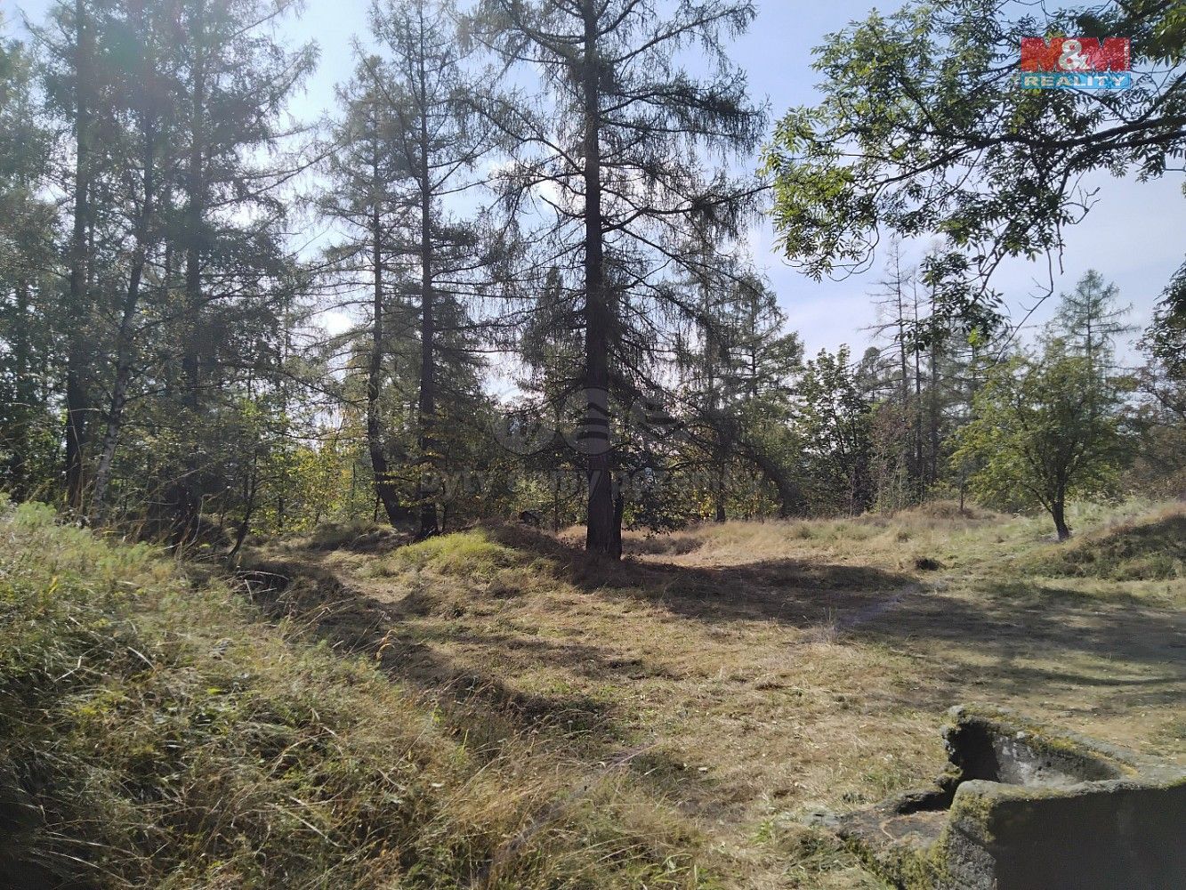 Ostatní, Razová, okres Bruntál, Moravskoslezský kraj - 2