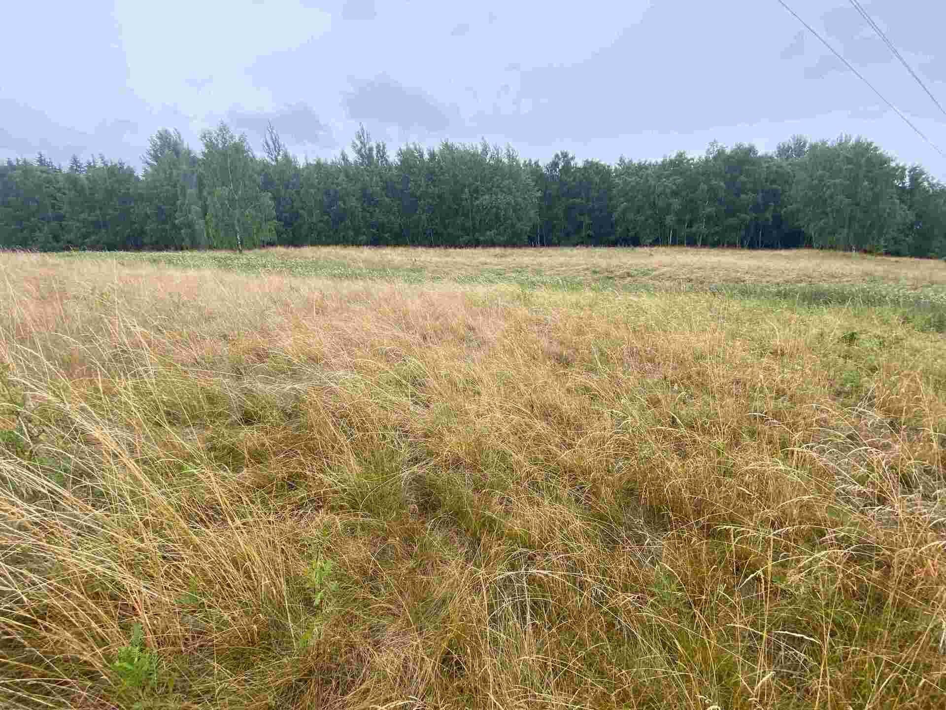 Zemědělský pozemek · 49 321 m² · Nové Sedlo Loučky - 4