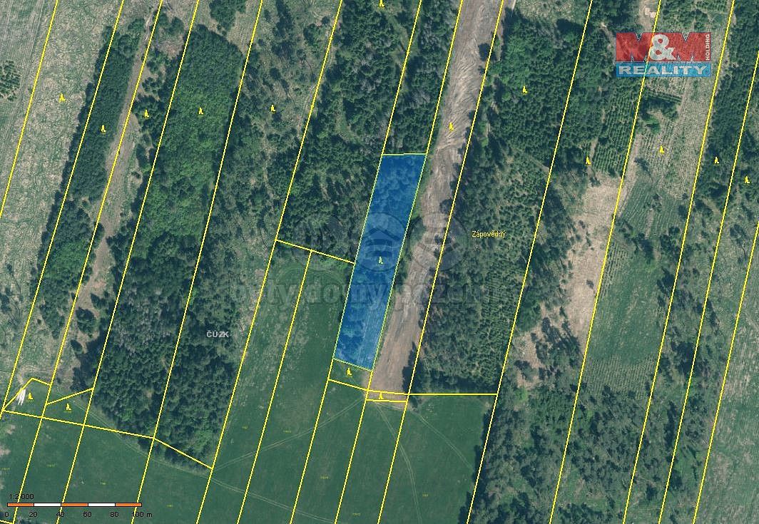 Les, 4 993 m²