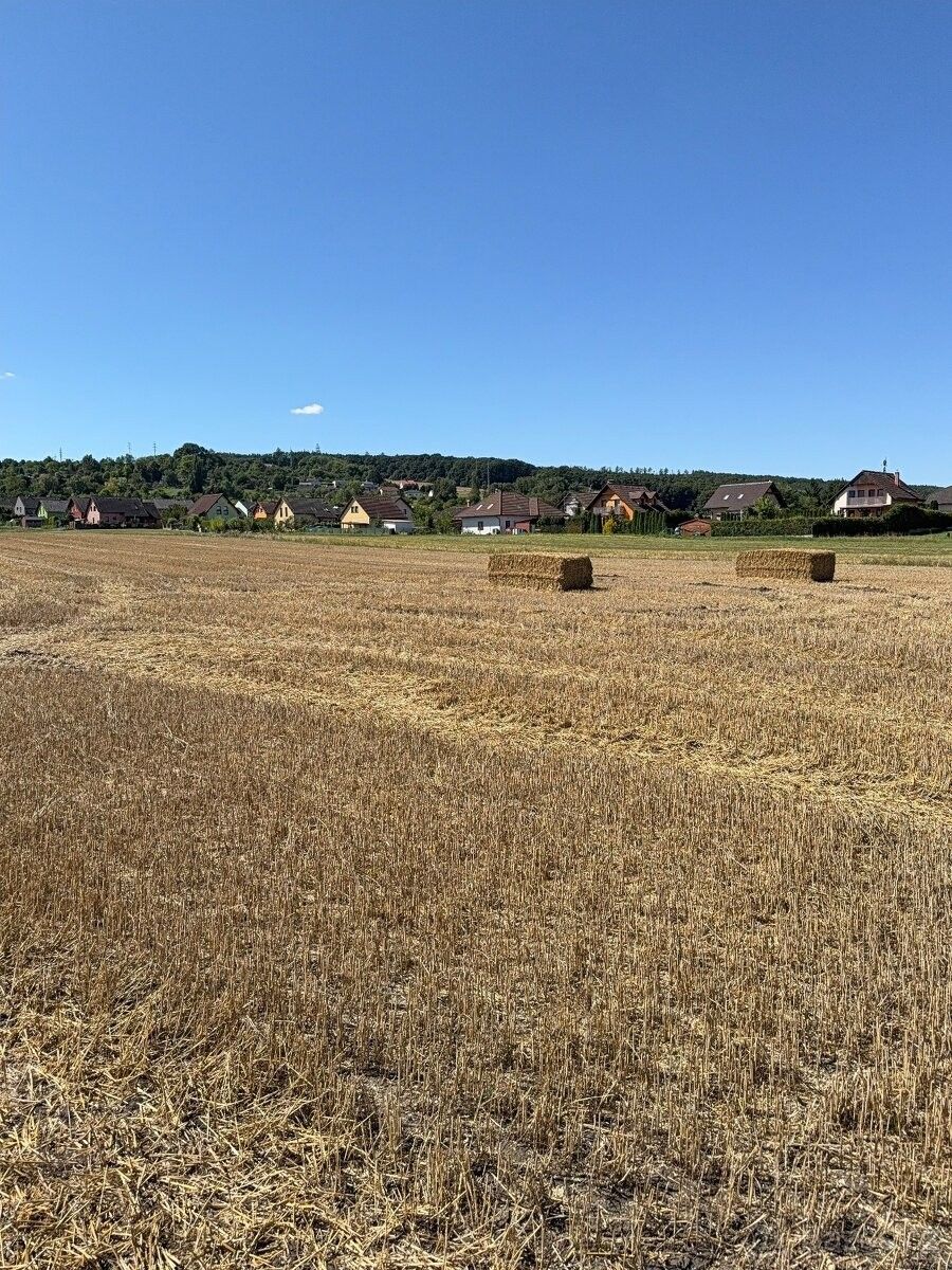 Prodej pozemek pro bydlení - Mladá Boleslav, 293 01