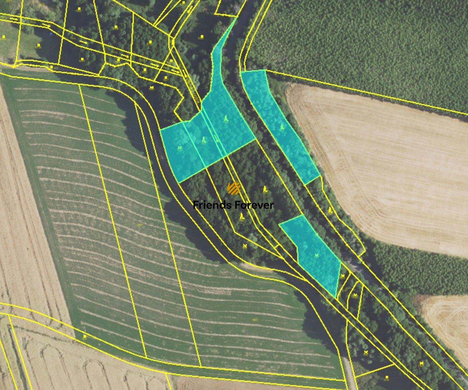 Prodej les - Panoší Újezd, 6 622 m²