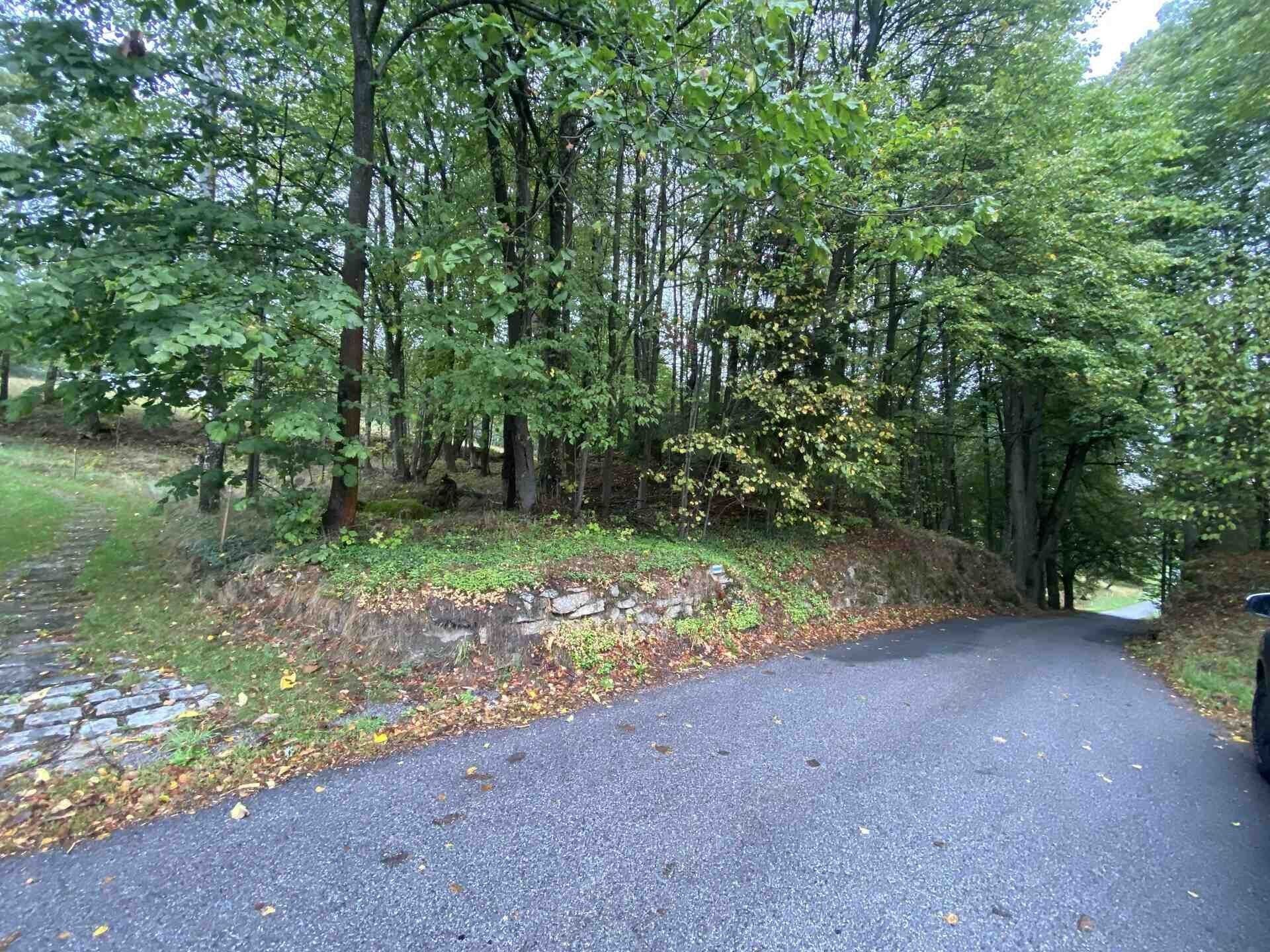 Prodej pozemek pro bydlení - Benešov nad Černou Kuří, 3 849 m² - 2