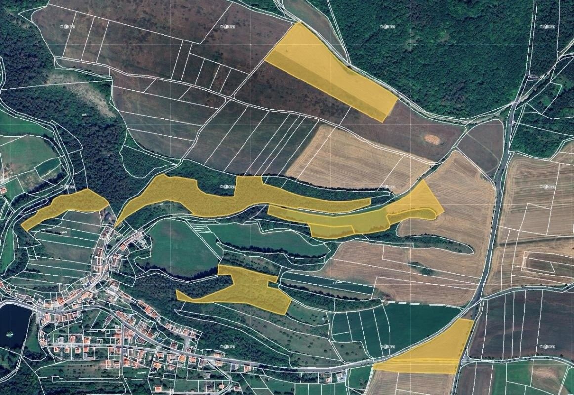 Pronájem zemědělský pozemek - Suchomasty, 46 549 m²