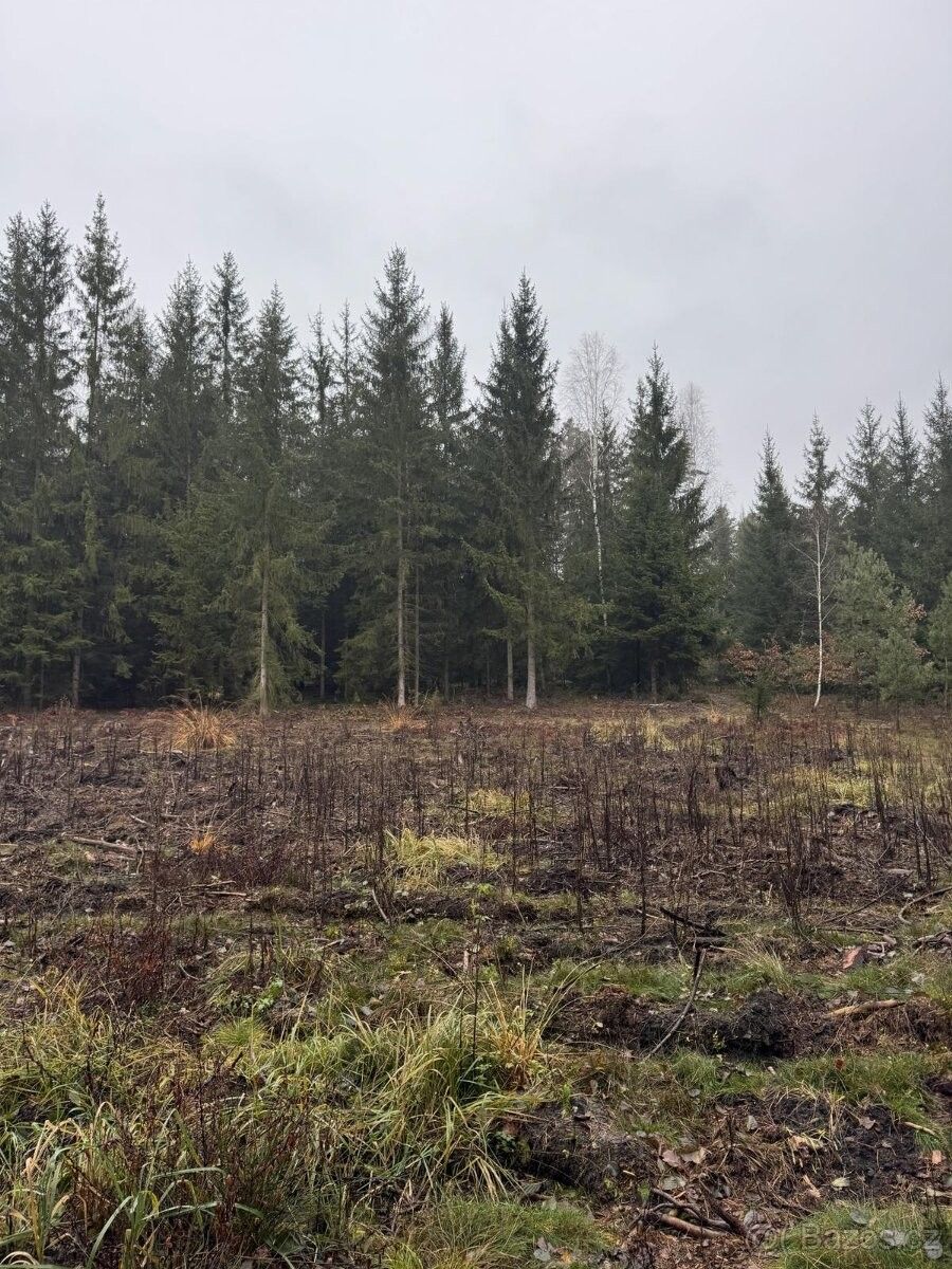 Prodej pozemek pro bydlení - Holice v Čechách, 534 01