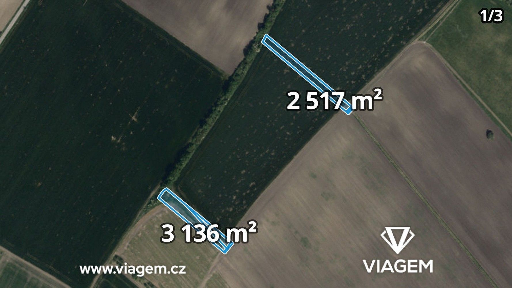 Prodej zemědělský pozemek - Velká nad Veličkou, okres Hodonín, Jihomoravský kraj - 5