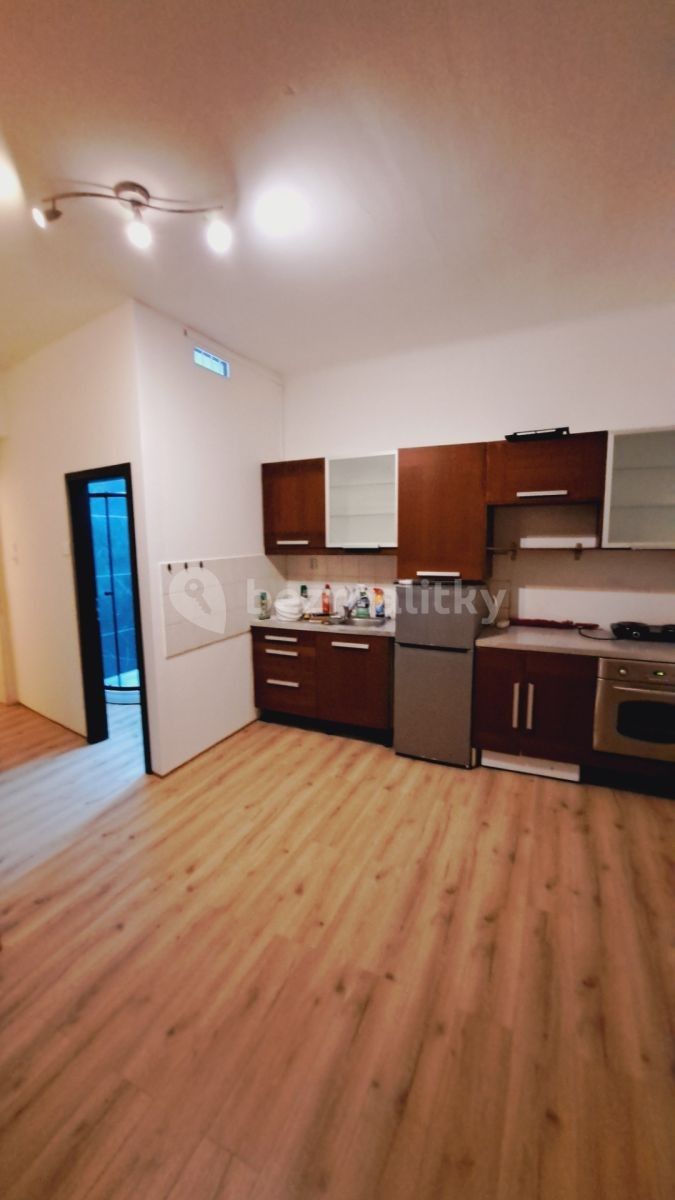 1+kk, U Křížku, Praha - Nusle, 30 m² - 1