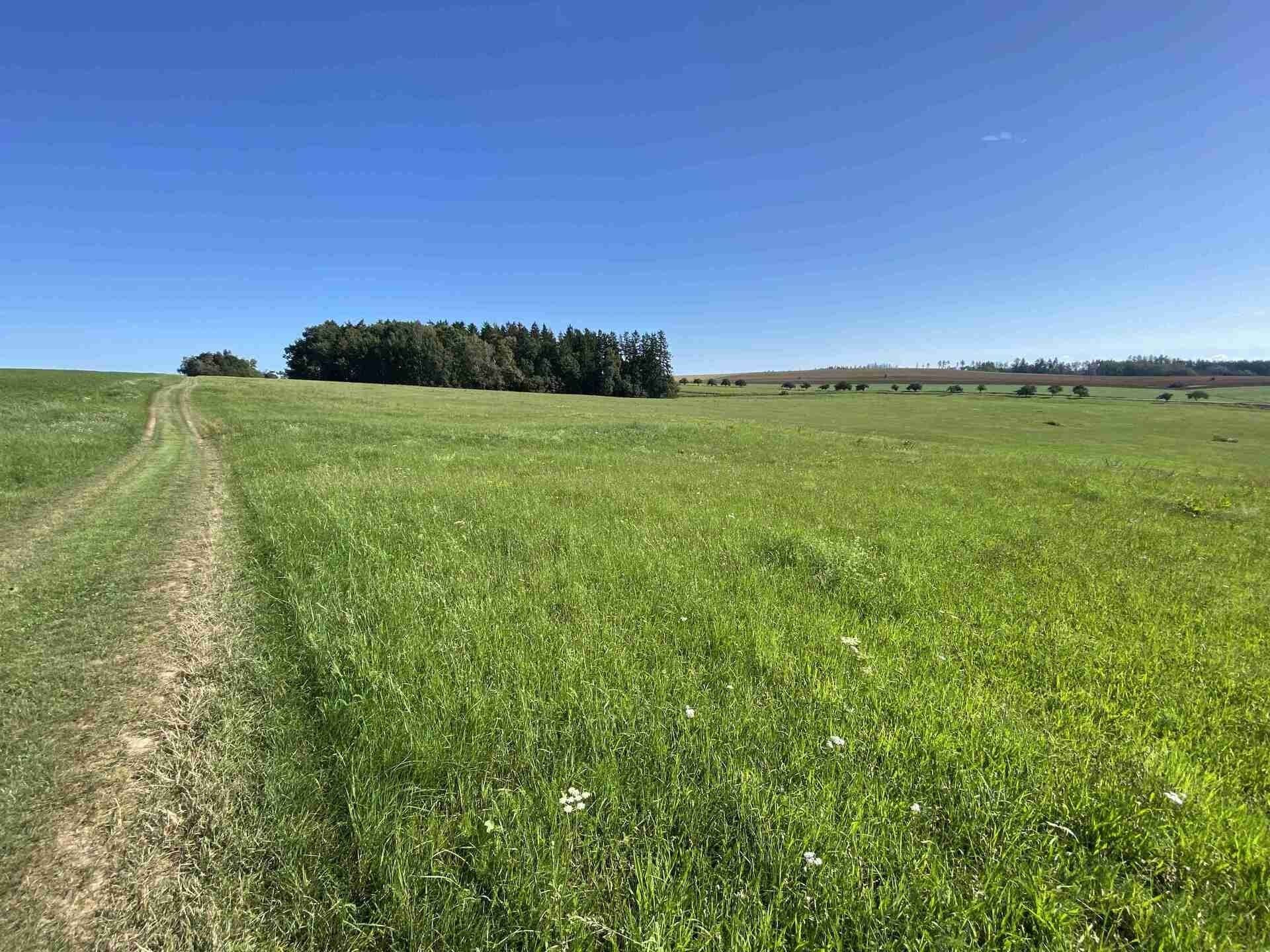 Zemědělské pozemky, Křešín, 6 m²