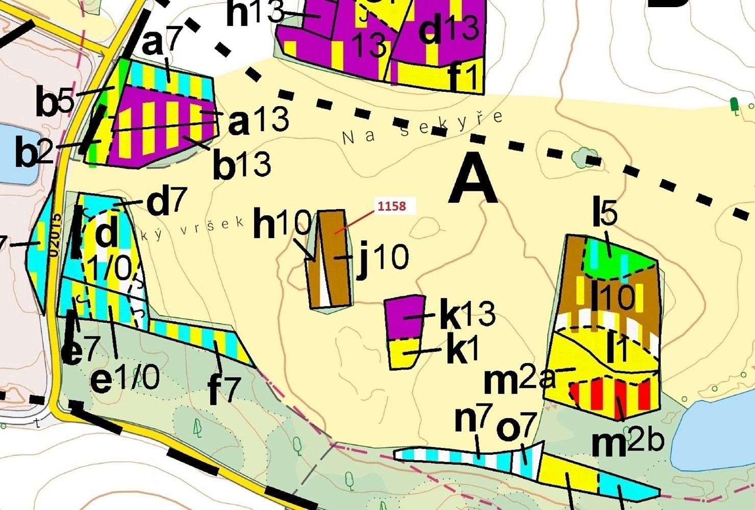 Les · Chanovice, okres Klatovy, Plzeňský kraj - 3