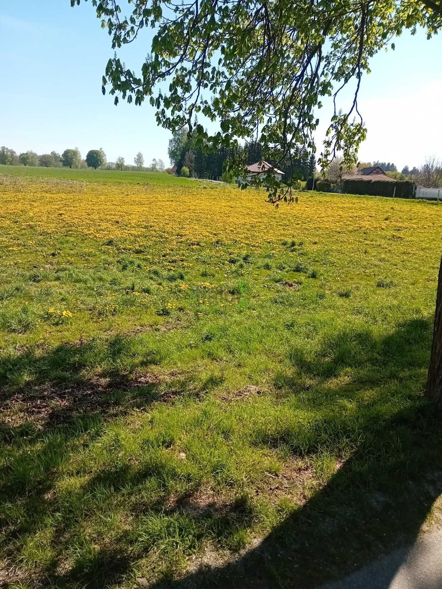 Pozemky pro bydlení, Popelín, 1 443 m² - 2