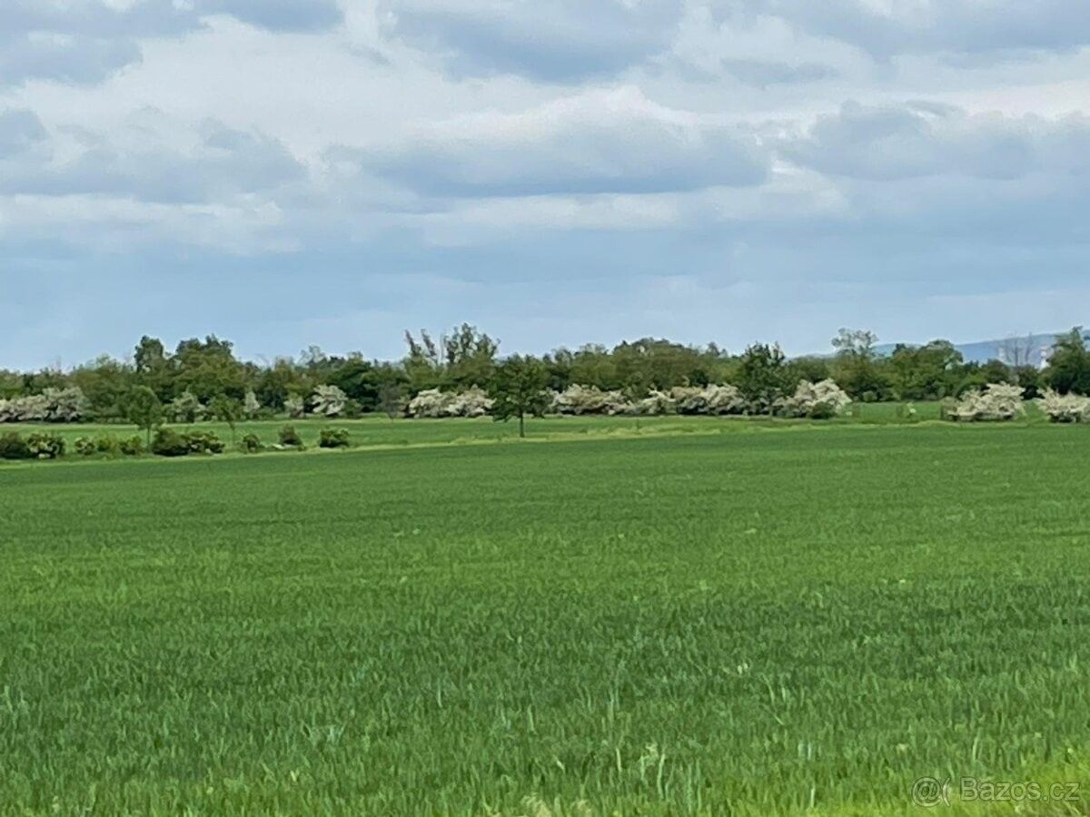 Pozemky pro bydlení, Brno, 620 00