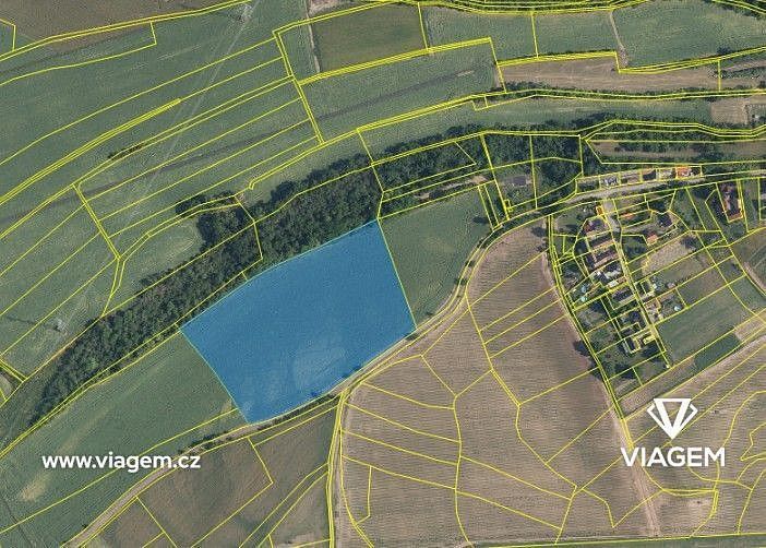 Zemědělský pozemek · Kochánky, okres Mladá Boleslav - 4
