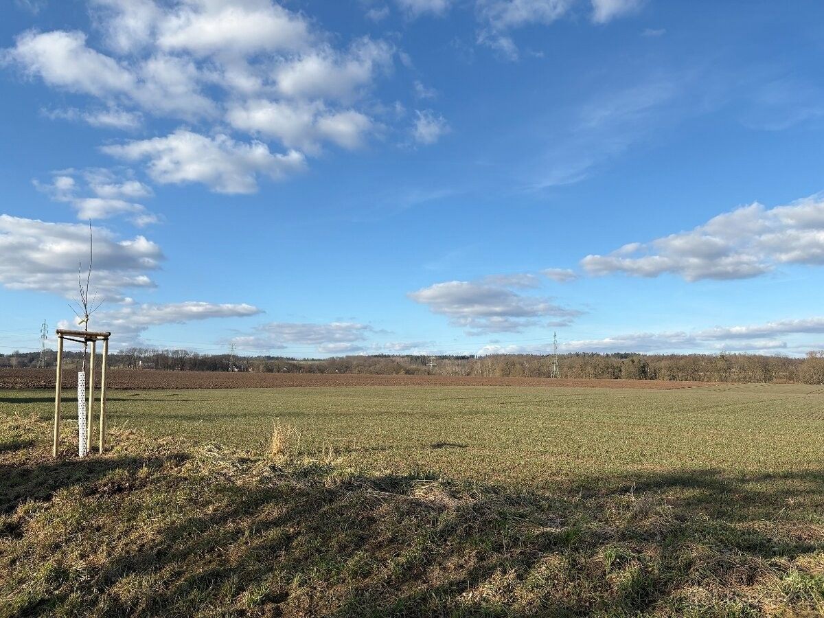 Prodej pozemek pro bydlení - Mohelnice nad Jizerou, 294 13