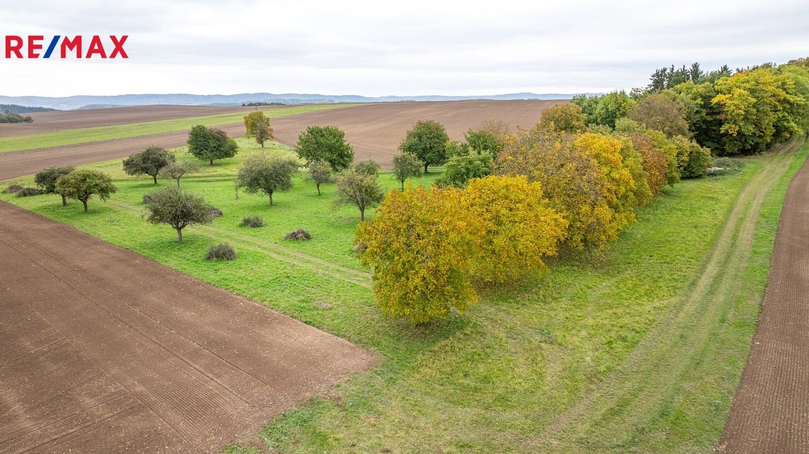 Ostatní, Panoší Újezd, 6 m²