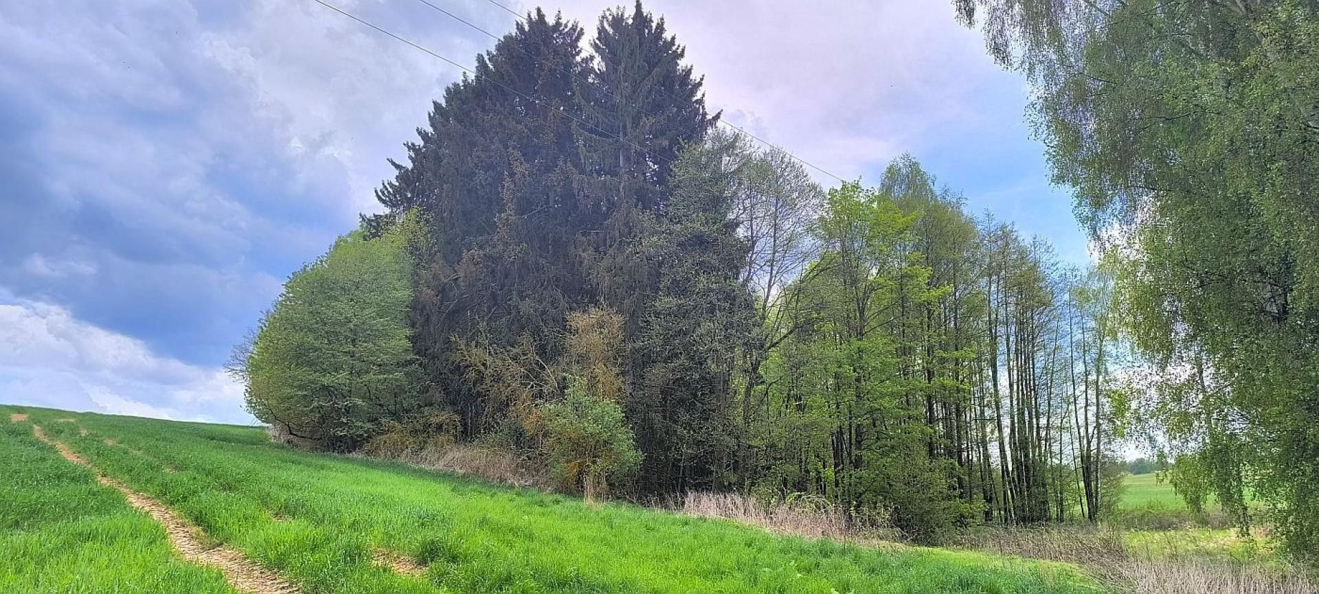 Pozemek, 927 m²