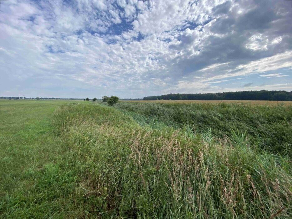 Prodej zemědělský pozemek - Lomnice nad Lužnicí, 16 m²