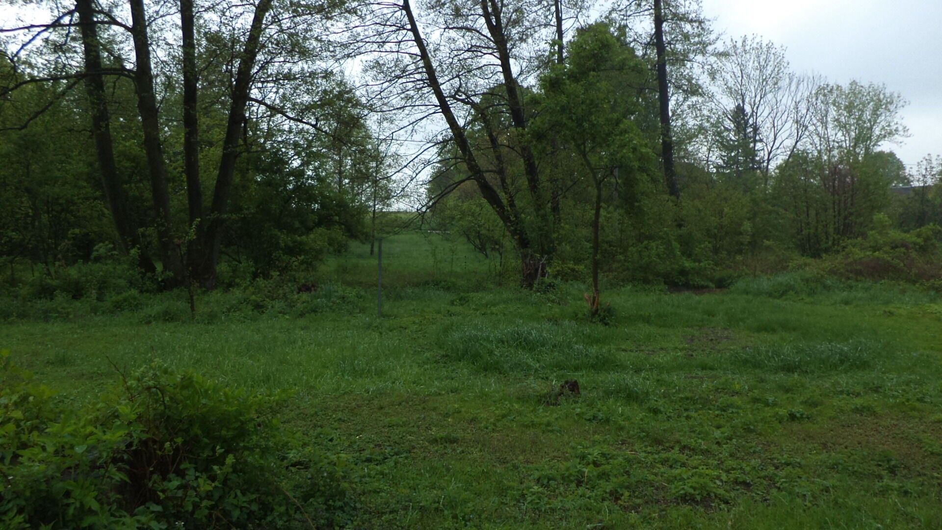 Prodej pozemek - Vlčice, 1 m²