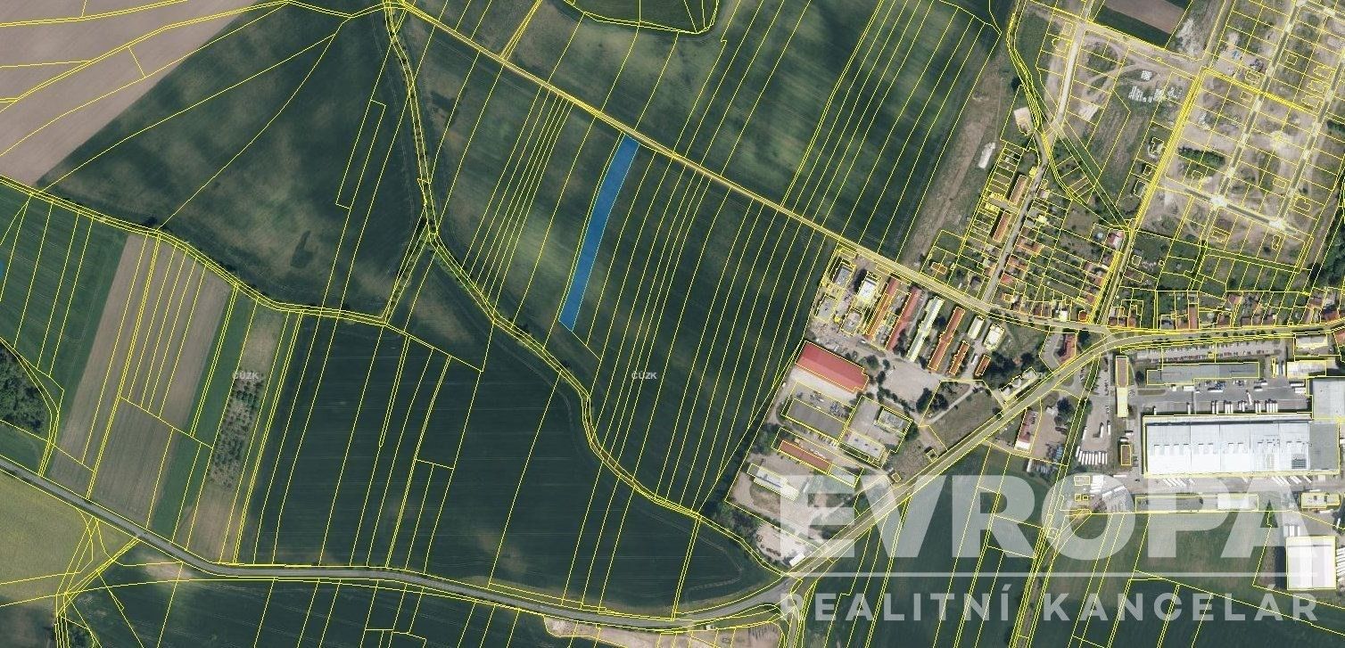 Zemědělské pozemky, Dašice