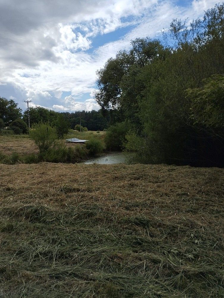 Louky, Líšťany - Košetice, okres Plzeň-sever, Plzeňský kraj - 2