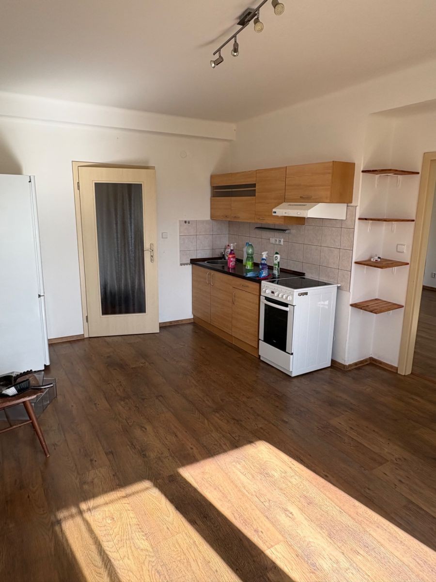 1+1, Mezidomí, Ústí nad Labem - Klíše, Ústecký kraj, 55 m² - 1