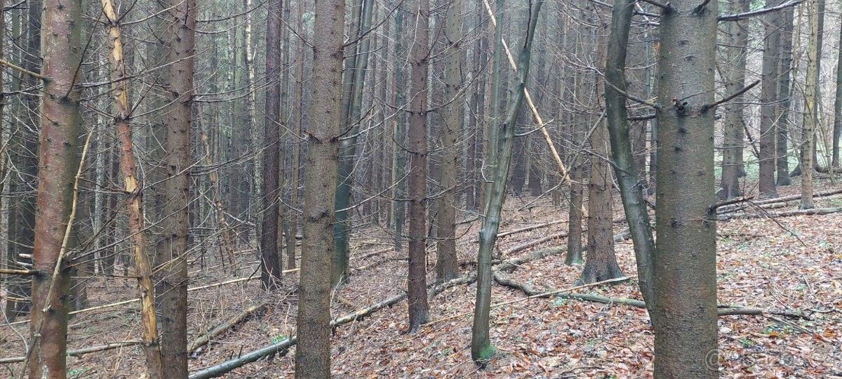 Prodej pozemek pro bydlení - Slavičín, 763 21