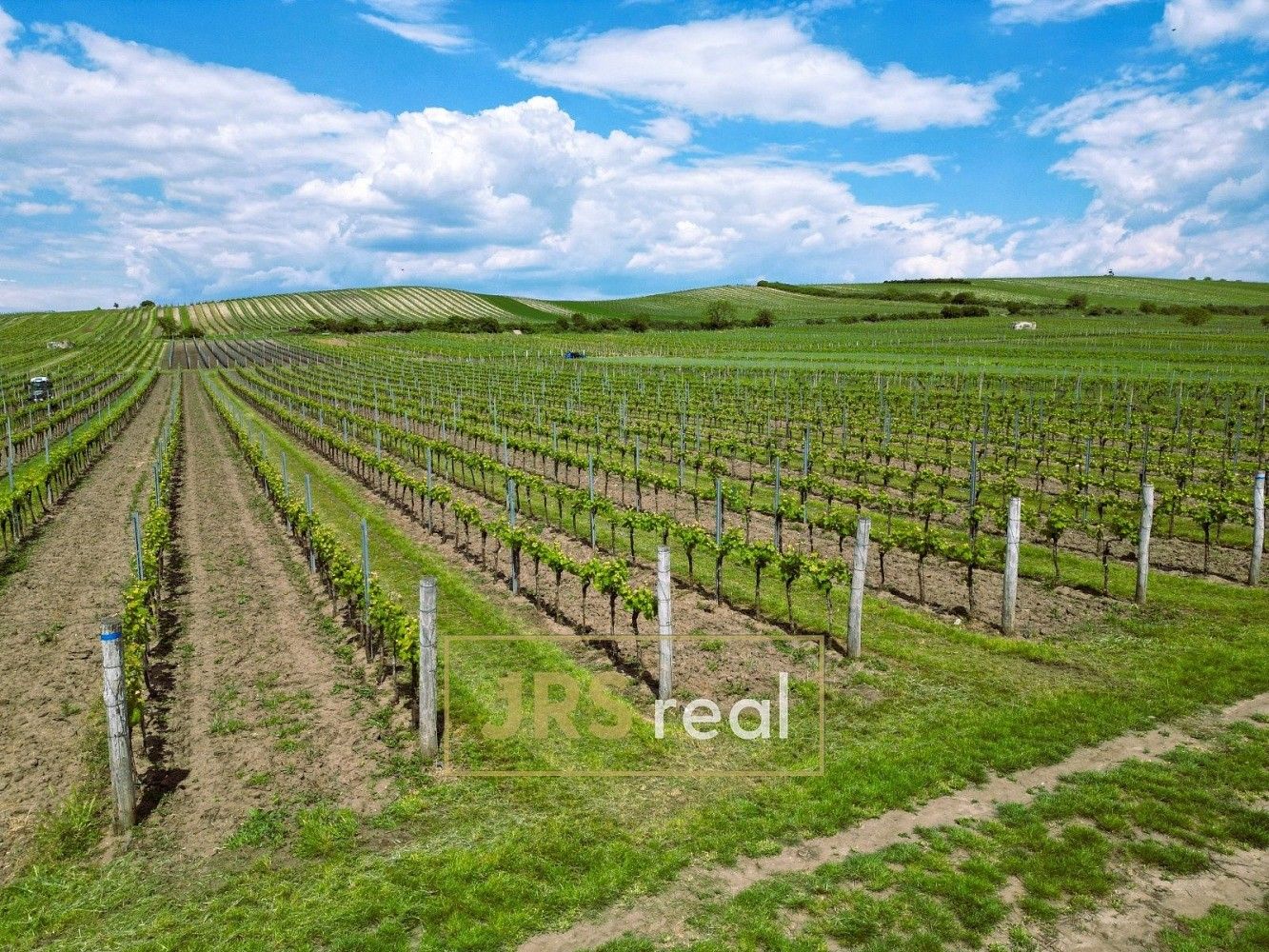 Zemědělské pozemky, Březí, okres Břeclav, Jihomoravský kraj - 2