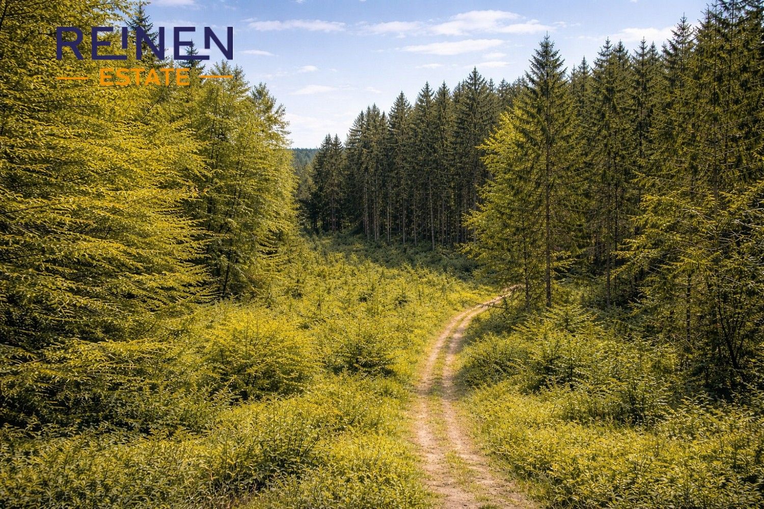 Lesy, Železný Brod, okres Jablonec nad Nisou, Liberecký kraj - 1