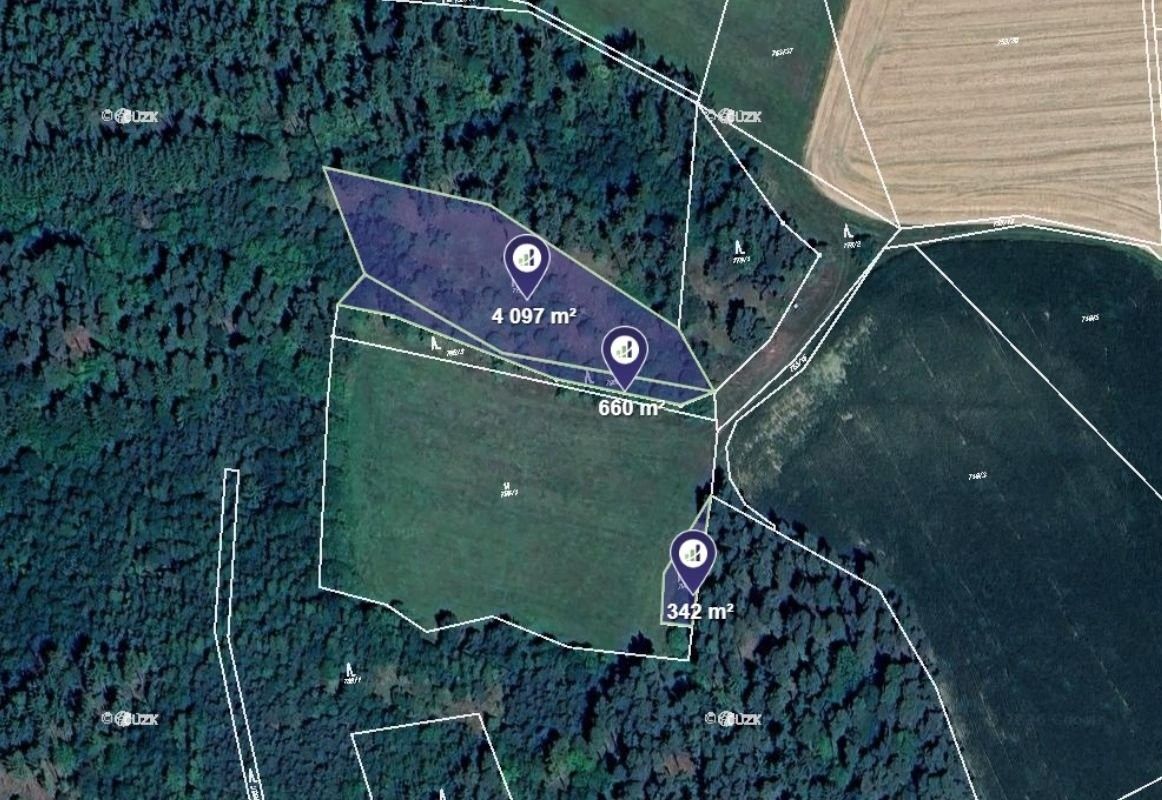 Lesy, Čepřovice, 5 099 m²