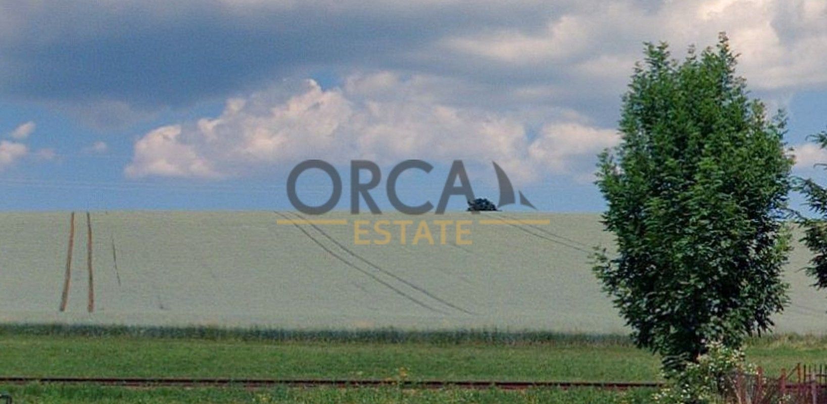 Pozemek · Dolní Branná, okres Trutnov - 4