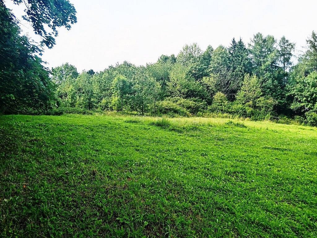Zahrady, Třinec - Dolní Líštná, okres Frýdek-Místek, Moravskoslezský kraj - 2